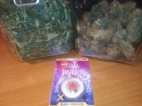IMG_20231006_110825.jpg