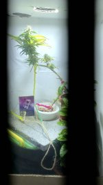 IMG_6455.jpeg