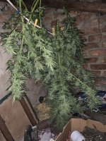 IMG_1777.jpeg