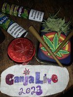 IMG_1818.jpeg