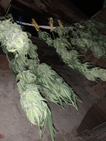 IMG_1847.jpeg