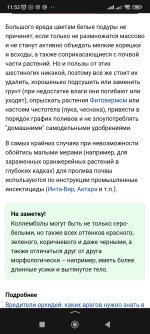 Screenshot_2023-10-18-11-52-49-958_ru.yandex.searchplugin.jpg