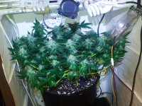 IMG_20231029_201127.jpg