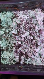 IMG20231120114049.jpg