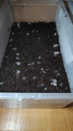 IMG20231120115903.jpg
