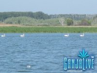 IMG_0403.JPG