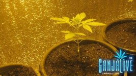 IMG_2051.JPG
