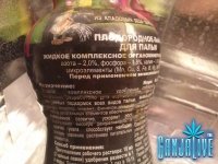 CAM00482.jpg