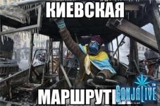 ZlMpLdeL0r8.jpg