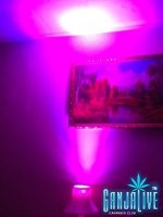 IMG_2189.JPG IMG_2189.JPG