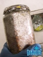 100_1904.JPG