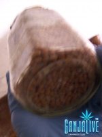 100_1922.JPG