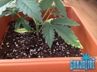 проблема 1.jpg