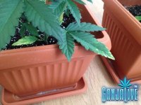 проблема 2.jpg