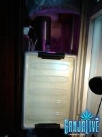 2013-11-02 16-47-06.jpg 2013-11-02 16-47-06.jpg