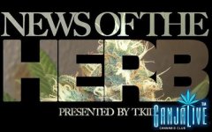 NewsoftheHerb8_4.jpg NewsoftheHerb8_4.jpg