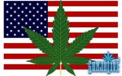 weedamerican-flag_7.jpg