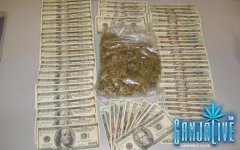 tax-revenue-marijuana.jpg