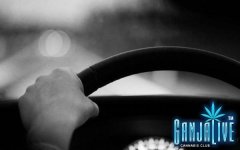 WebMD-Lying-Stoned-Driving.jpg