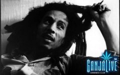 bob-marley.jpg
