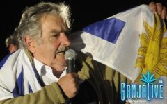 o-JOSE-PEPE-MUJICA.jpg