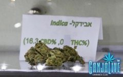 israel-thc.jpg
