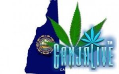 new-hampshire-weed-640x420.preview.jpg