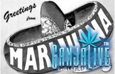 mexico-marijuana-high.thumbnail.jpg