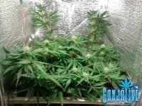 2014-02-22 22-40-38.JPG 2014-02-22 22-40-38.JPG