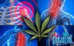 Cannabis_Fibromyalgia_01.jpg