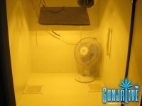 IMG_0639.JPG