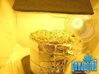 IMG_0666.JPG