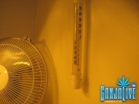 IMG_0667.JPG