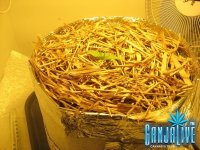 IMG_0670.JPG
