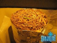 IMG_0671.JPG