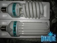 IMG_1899.JPG