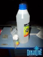 100_2007.JPG