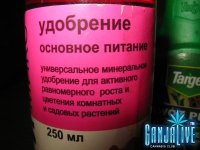 IMG_1910.JPG