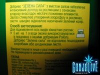 IMG_1912.JPG