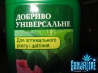 IMG_1913.JPG