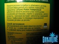 IMG_1915.JPG