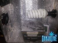 20140318_182515.jpg