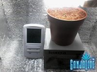 20140320_235504.jpg