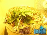 IMG_0691.JPG