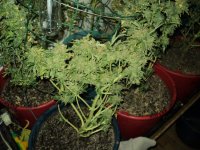 DSC08724.JPG