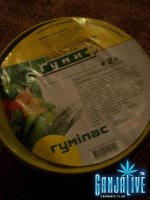 100_2028.JPG