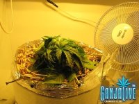 IMG_0714.JPG