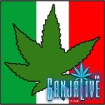 mexico-flag-marijuana.jpg mexico-flag-marijuana.jpg