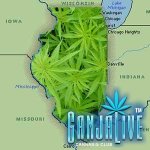 illinois-marijuana.jpg