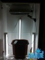 CAM00761.jpg